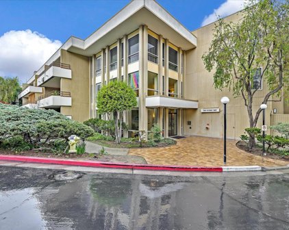 10 Scenic WAY 317, San Mateo