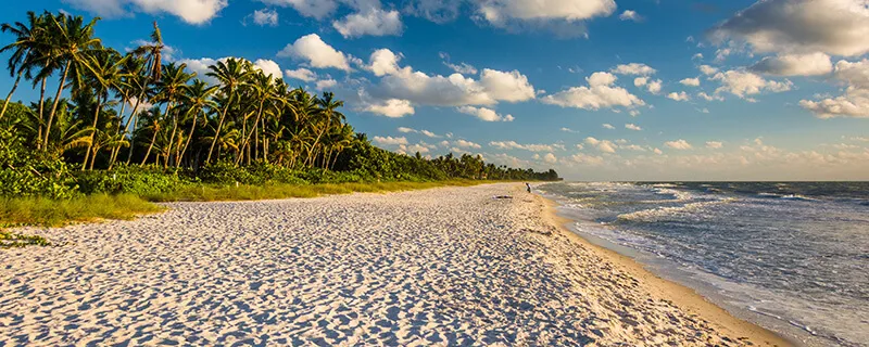Waterfront Homes for Sale