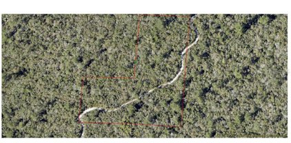 Ewing Woods Lane, Deltona