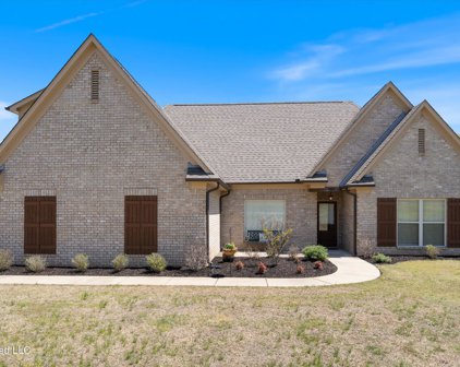 134 E Byhalia Creek Farms Road, Byhalia