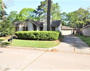3707 Bear Lake Drive, Houston image
