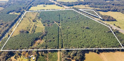 21400 Nw Cr 235a, Alachua