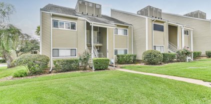 132 April Point Drive, Conroe