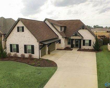 14223 Muirfield Drive, Athens