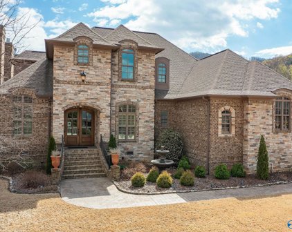 13 Vine Grove Way, Gurley