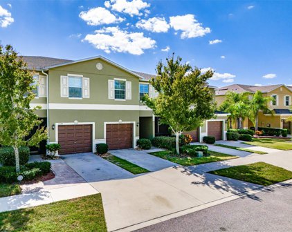 2126 Golden Falcon Drive, Ruskin