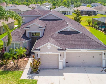 4654 Pointe O Woods Drive, Wesley Chapel