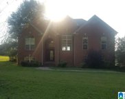 1281 Sanie Road, Odenville image