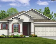 1219 Hillbridge Drive, Haines City image