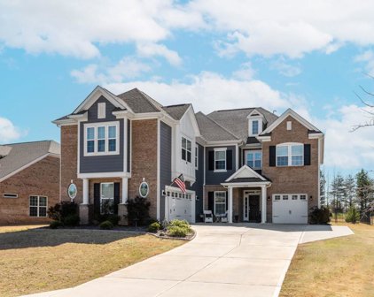 10211 Malmedy Park  Street, Indian Land