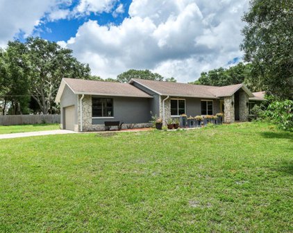 308 Race Track Road S, Oldsmar