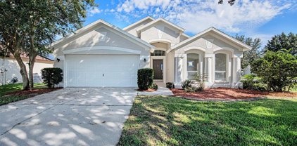 19918 Ellendale Drive, Land O' Lakes