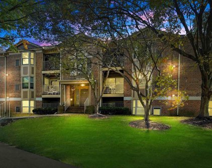 203 Star Pointe Ct Unit #1B, Abingdon