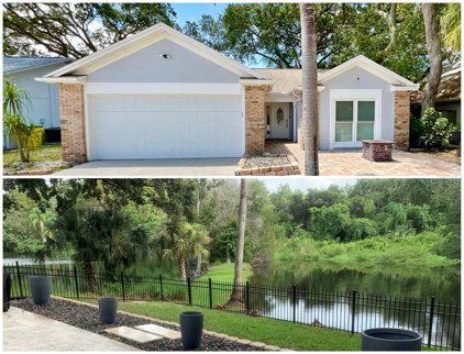 2968 Jodi Lane, Palm Harbor