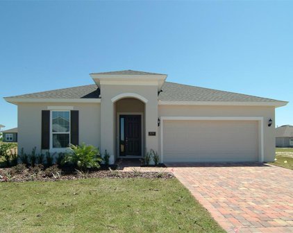 804 Terrapin Drive, Debary