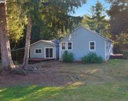 37575 BRANDON LN, Astoria image