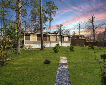 23918 Paper Wasp Lane, New Caney