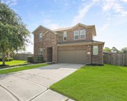 2003 Vineyard Creek Lane, Pearland image