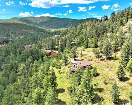 10200 Blue Sky Trail, Conifer