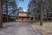 106 Eagle Ridge Road, Alto image