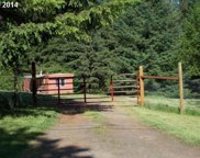 1013 NE 322ND AVE, Washougal image