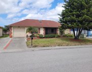 8337 Monarch Drive, Port Richey image
