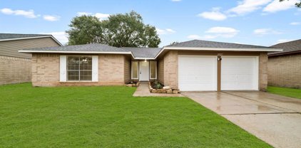2527 Wheelwright Lane, Friendswood