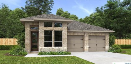 525 Kimble Creek Loop, Kyle