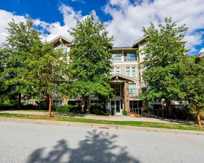 265 Ross Drive Unit 304, New Westminster