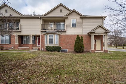 5706 NORWAY SPRUCE, Shelby Twp