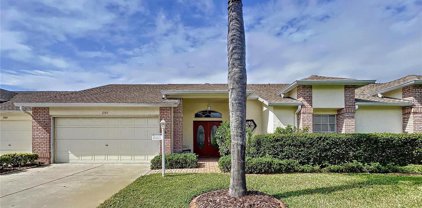1105 Flora Vista Street, Trinity