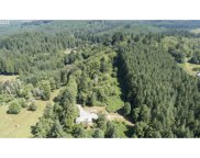 21800 NE CEDAR CREEK RD, Amboy image