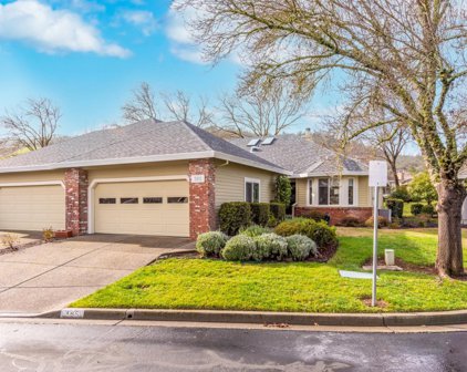 385 Riven Rock Way, Santa Rosa