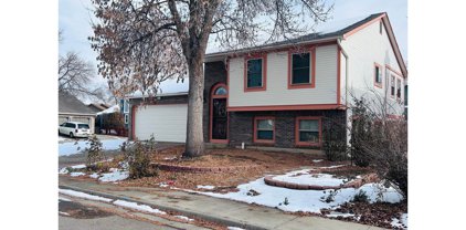 1598 Wellington Ct, Loveland