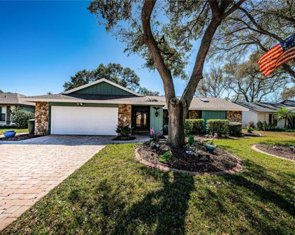 48 Crane Drive, Safety Harbor