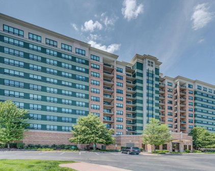 6420 Double Eagle Drive Unit #1212, Woodridge