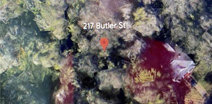 217 Butler Street, Clemson