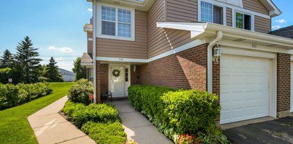 943 W Happfield Drive Unit #4, Arlington Heights
