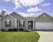 519 Sky Valley Court, Osceola image