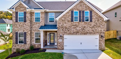 9704 Walking Stick Drive, Knoxville