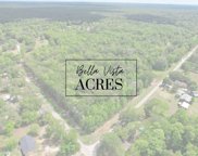 21870 Baptist Encampment Road, New Caney image