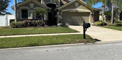 4805 Everhart Drive, Land O' Lakes
