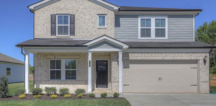 3708 Jessup Ln, Rockvale