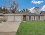 23310 Whispering Willow Drive, Spring image