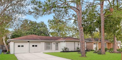 16819 Tibet Road, Friendswood