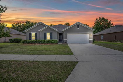 2716 Summerglen Lane, Eustis