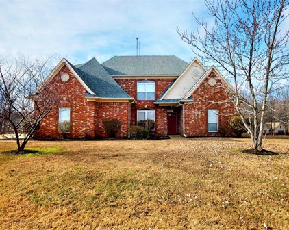 5517 Deer Trail Cove, Southaven