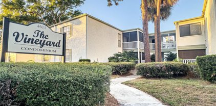 302 N Trask Street Unit 204, Tampa