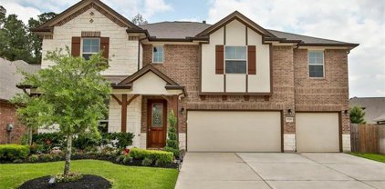 25314 Terrain Park Drive, Spring
