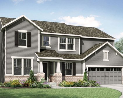 838 Canning Street, Danville